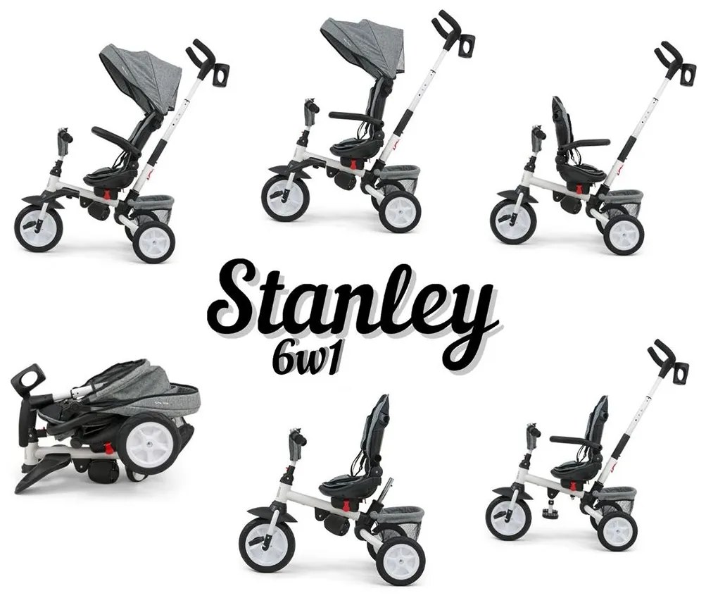 Detská trojkolka 6v1 Milly Mally Stanley pink