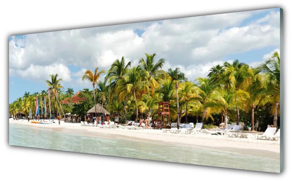 Obraz na akrylátovom skle Pláž palma stromy príroda 125x50 cm
