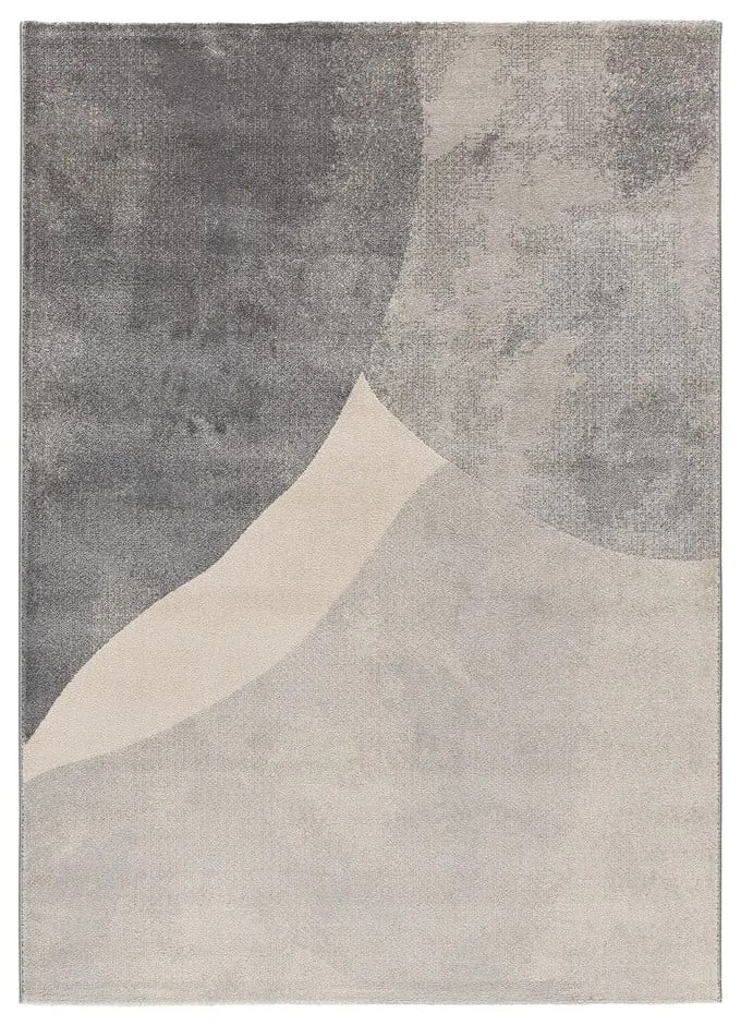 Sivý koberec 160x230 cm Monic – Universal