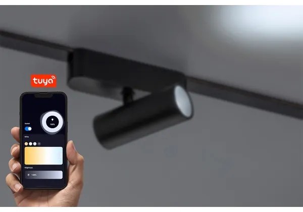 Rabalux 70126 - LED Stm. bod. sviet. do 1-fáz. lišt. sys. LiTrack LED/9W/24V