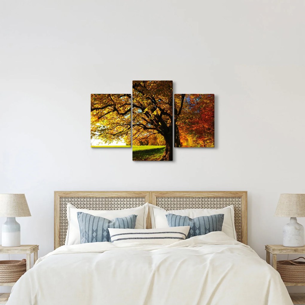 Obraz jesene (90x60 cm)
