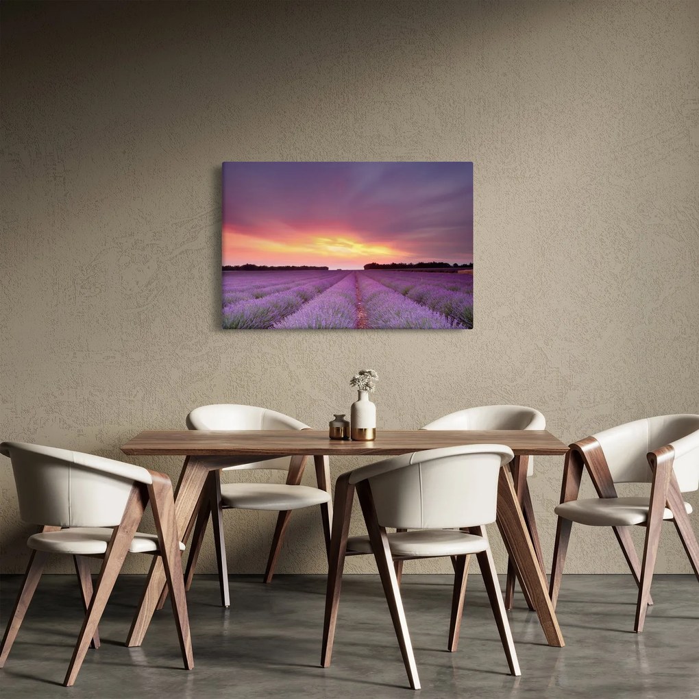 Obraz - Levanduľové pole (90x60 cm)