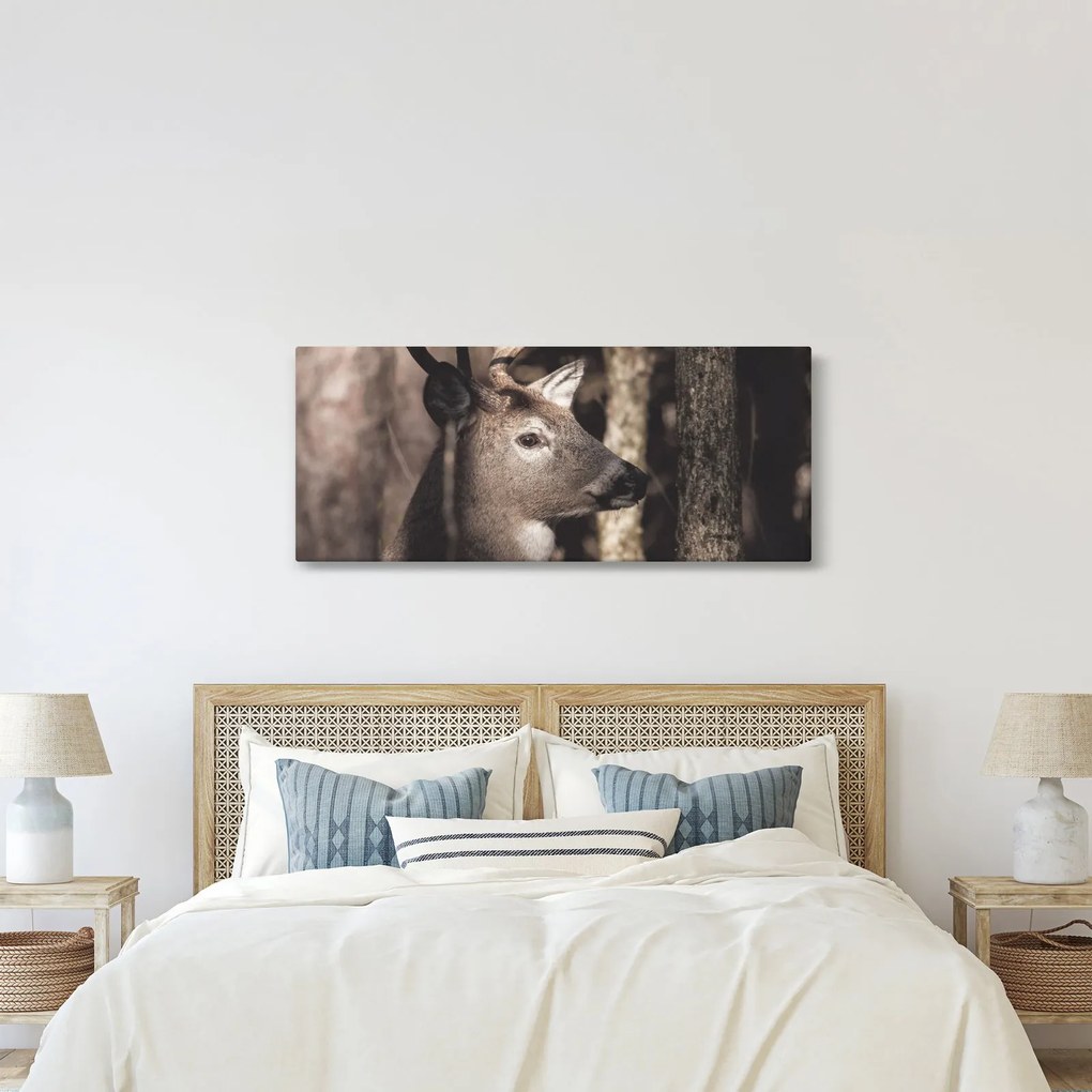 Obraz - Jeleň v lese (120x50 cm)