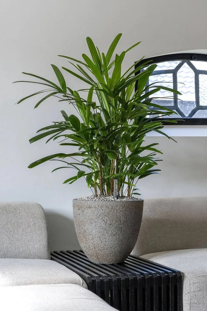 Kónický kvetináč VIRINGO, vláknocement, 33x29 cm, sivý