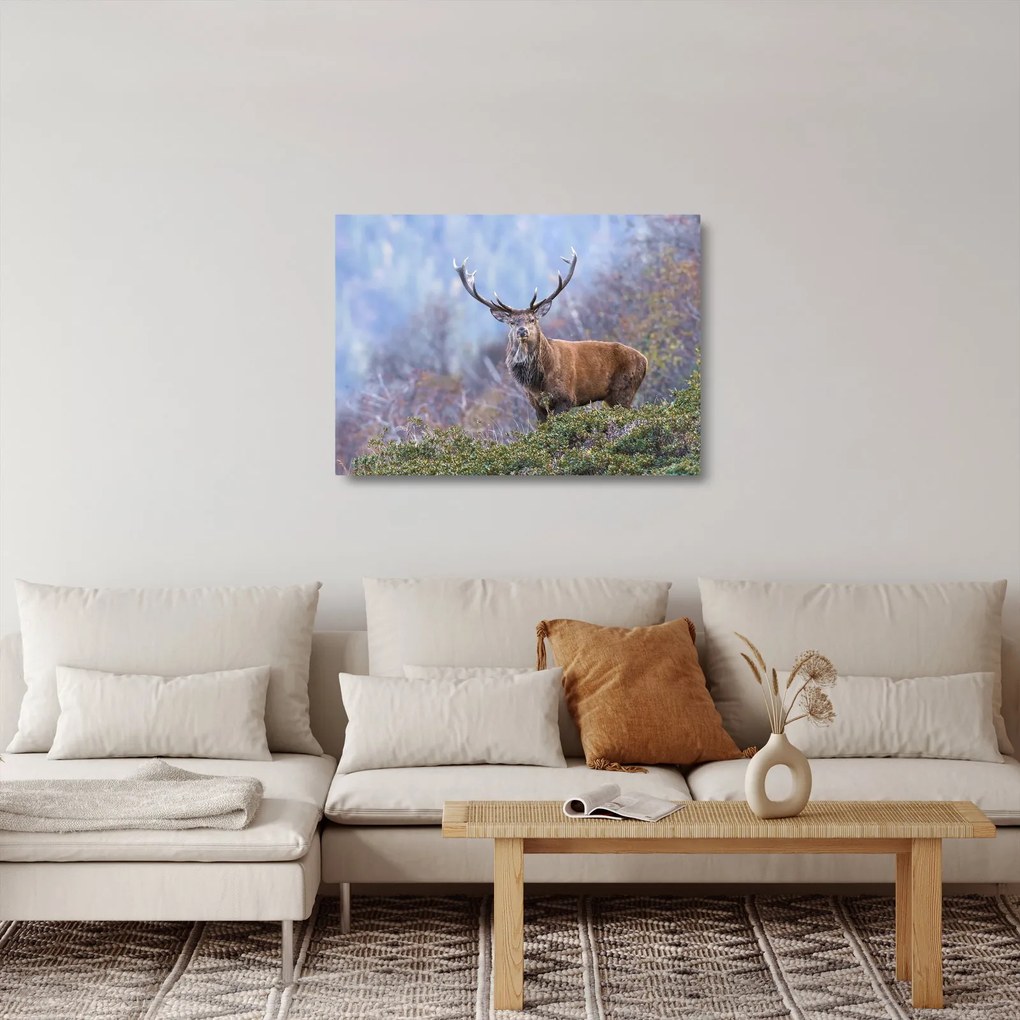 Sklenený obraz - Jeleň v krajine (70x50 cm)