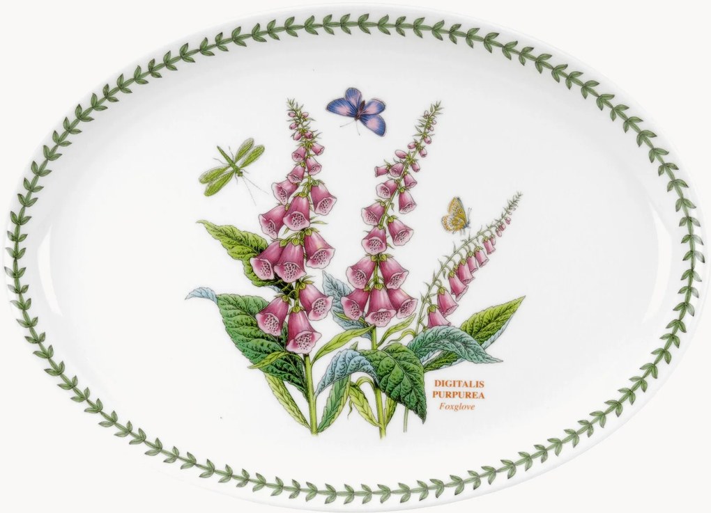 Oválny tanier Foxglove