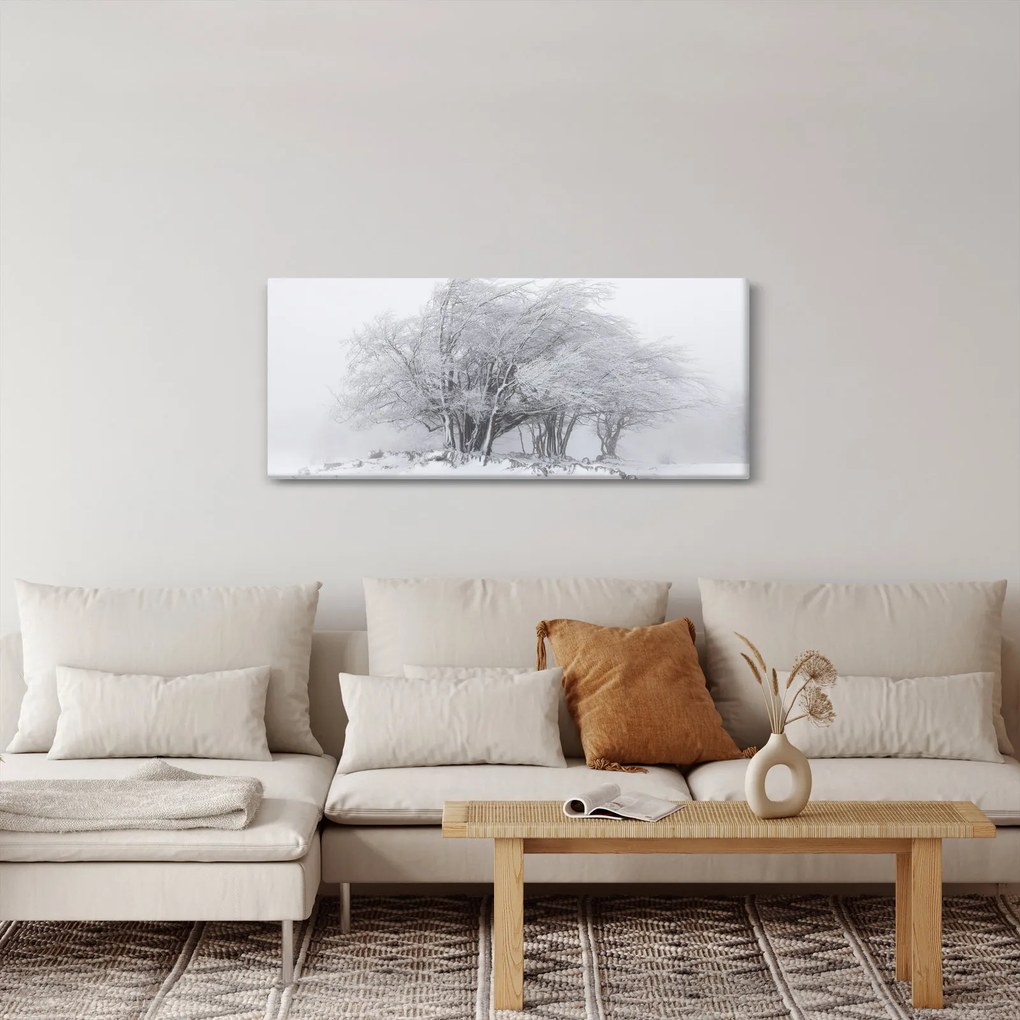 Obraz - Biela zima (120x50 cm)