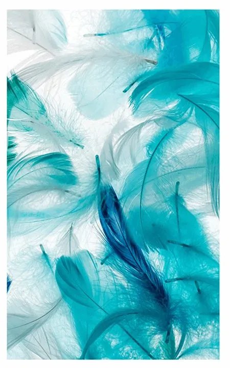 Plagát s paspartou zelené pierka - 30x45 silver