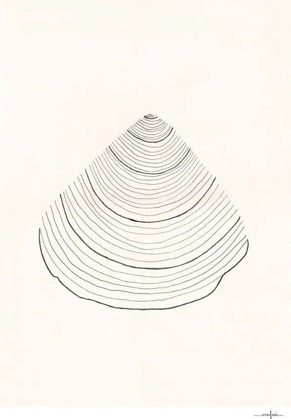 The Poster Club Plagát Shell by Ana Frois 50x70