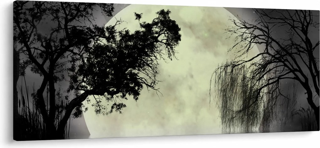 Obraz - Spln nad hladinou, čiernobiely variant (120x50 cm)
