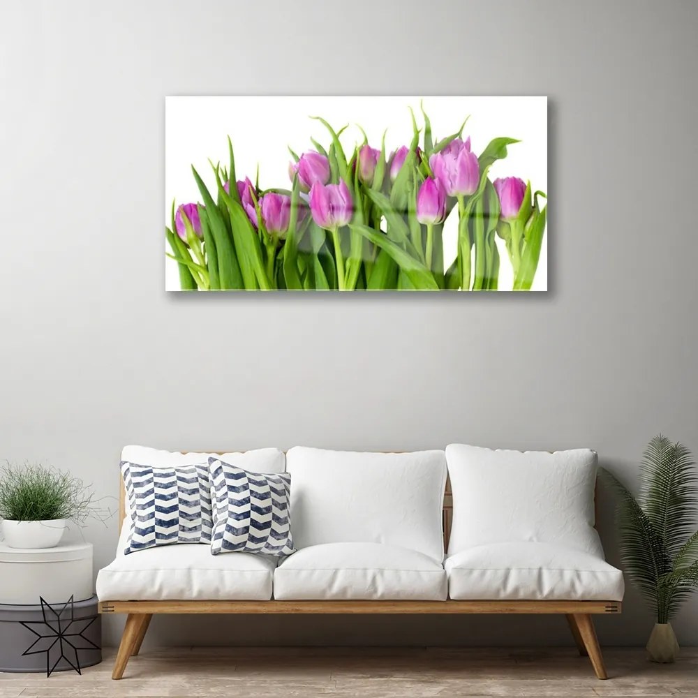 Obraz na skle Tulipány kvety rastlina 125x50 cm