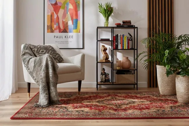 Koberec Dywilan Polonia kráľovsky bordový