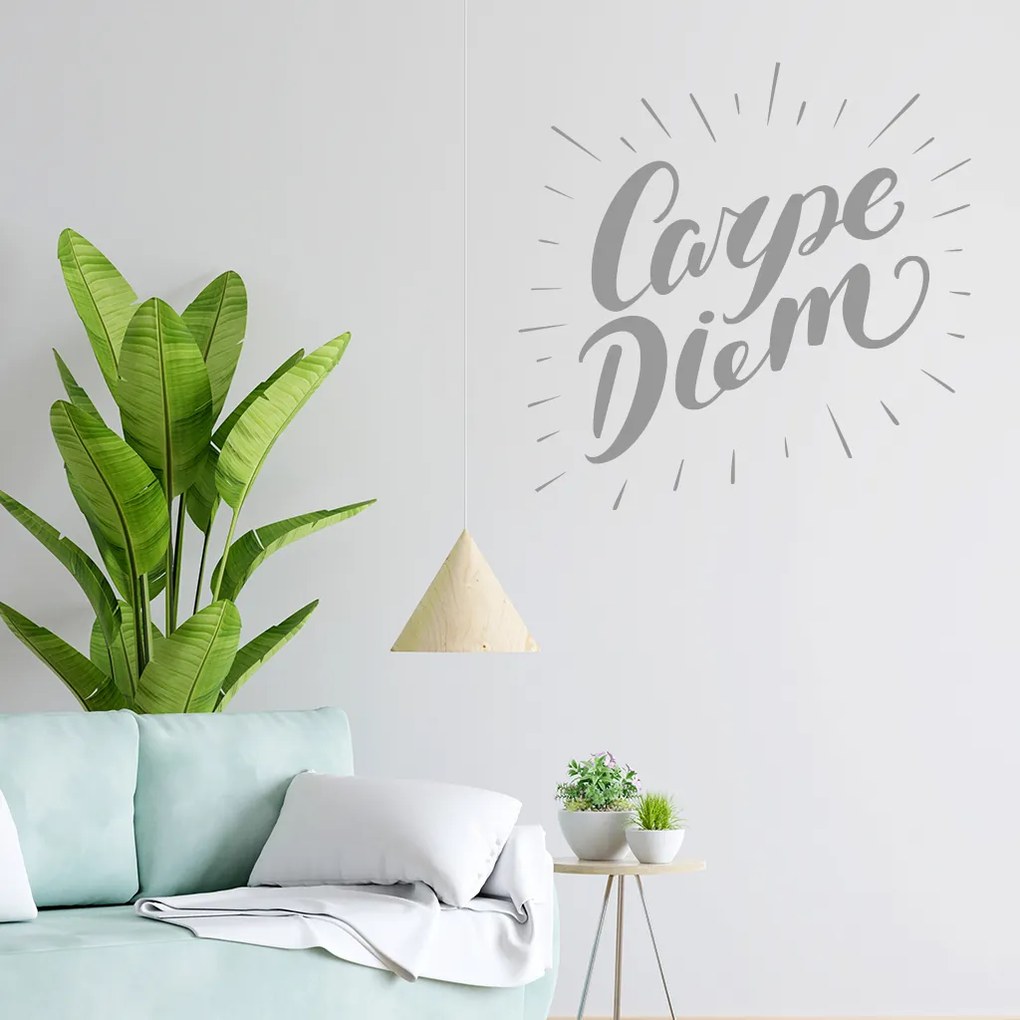 Veselá Stena Samolepka Carpe Diem (Užívaj dňa) Farba: čierna, Veľkosť: 100 x 100 cm