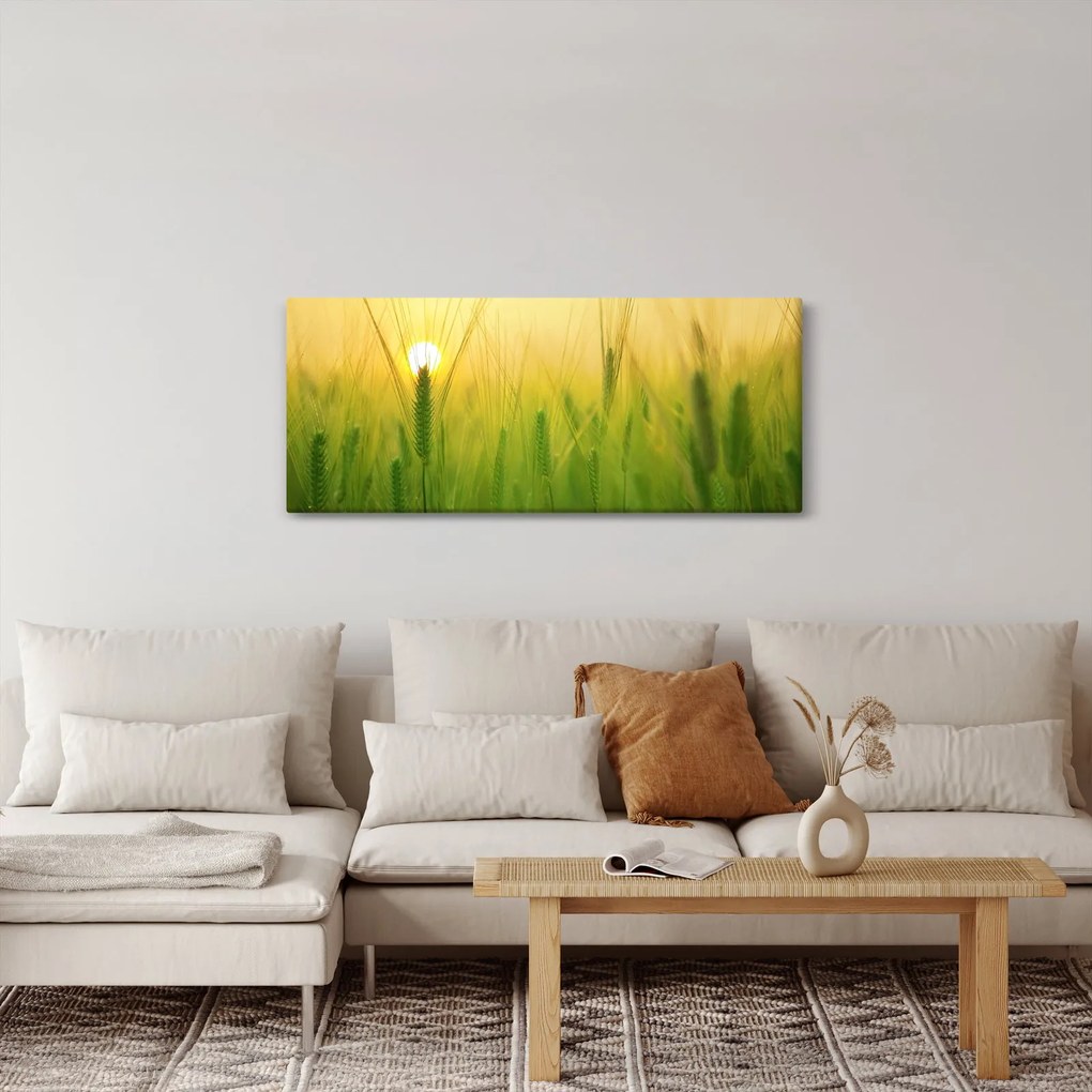 Obraz - Pole s obilím (120x50 cm)