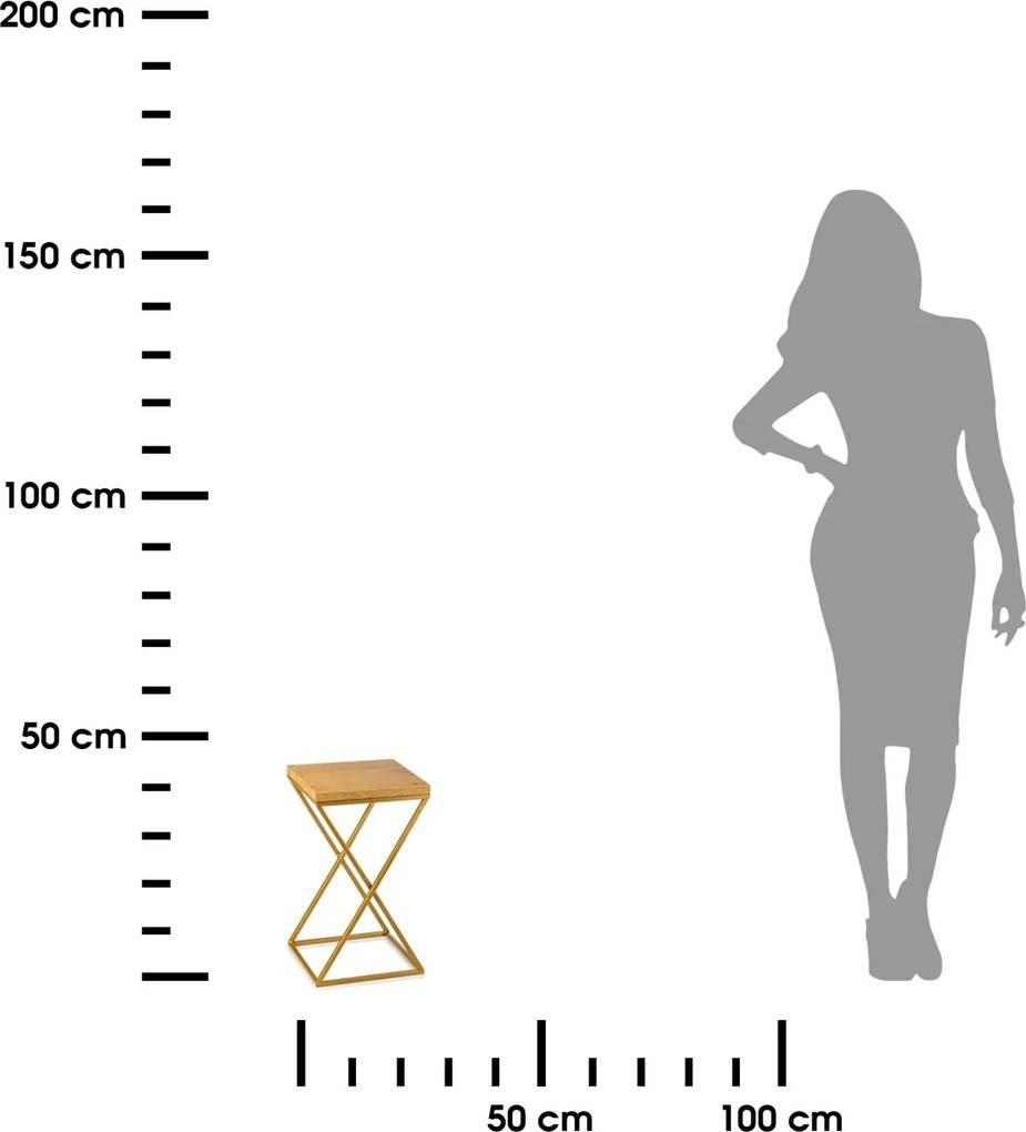 STOJAN NA KVETINÁČ LOFT6 40X24X24 CM ZLATÁ/HNEDÁ
