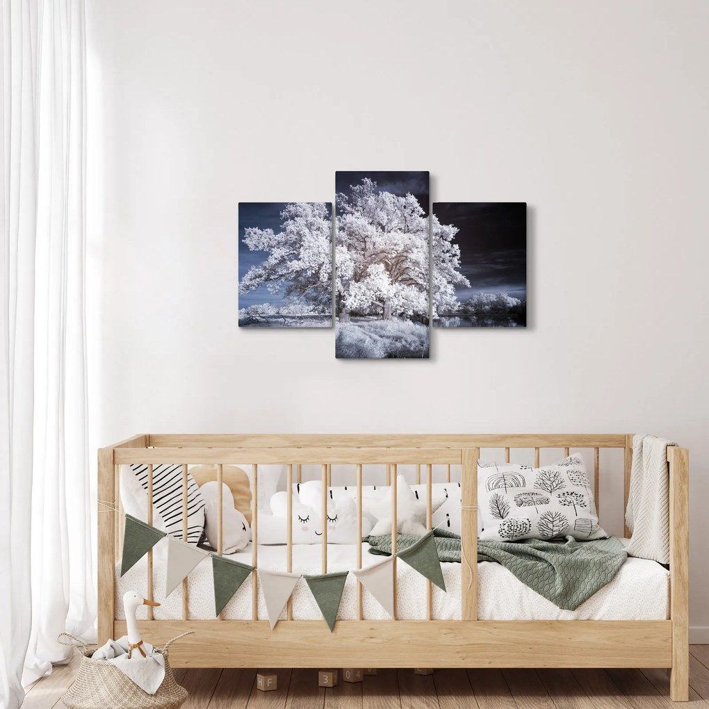 Obraz - Snehobiely strom (90x60 cm)