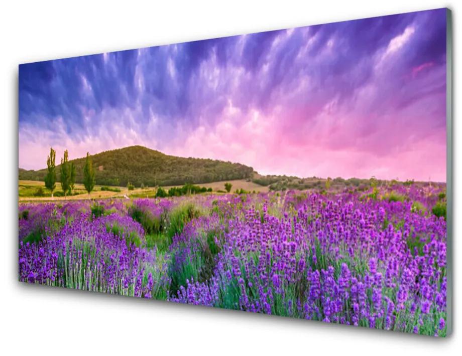 Obraz na akrylátovom skle Lúka kvety hory príroda 100x50 cm