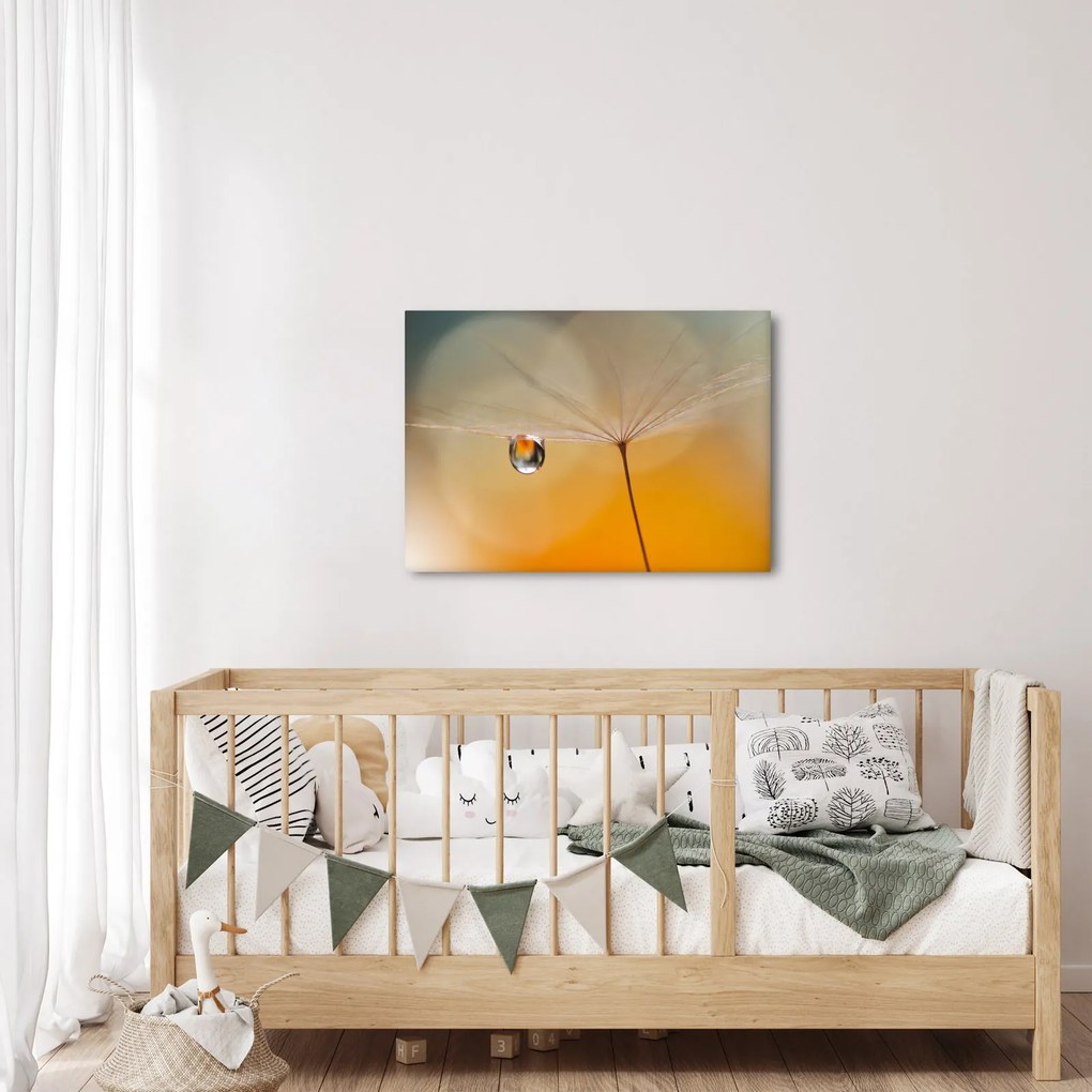 Obraz - Makro kvetu (70x50 cm)