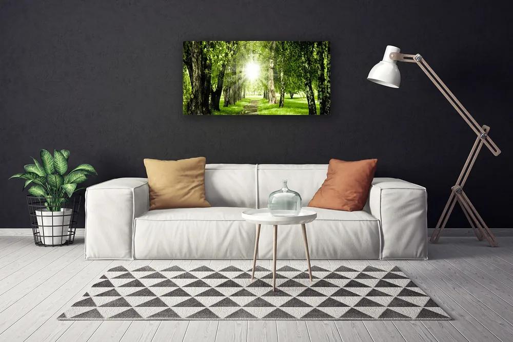 Obraz Canvas Les slnko chodník príroda 140x70 cm