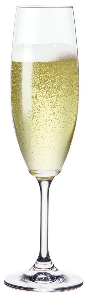 Pohár na sekt LARA 0,22 l, 24 ks
