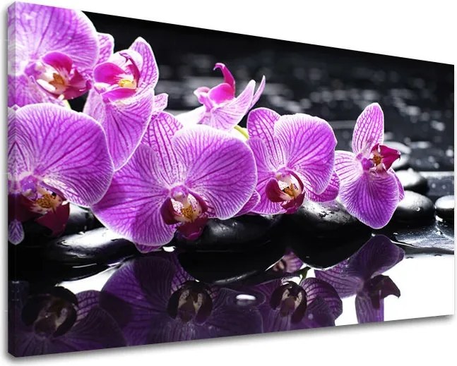 Obraz na stenu FENG SHUI FS024E11