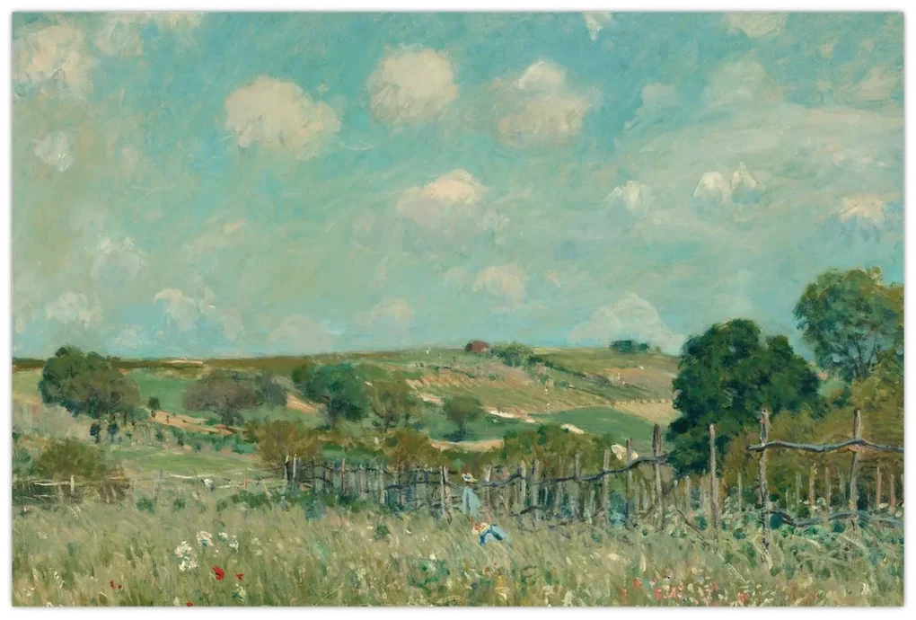 Obraz - Alfred Sisley, Meadow, reprodukcia (90x60 cm)