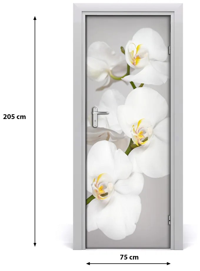 Fototapeta na dvere biela orchidea 75x205 cm