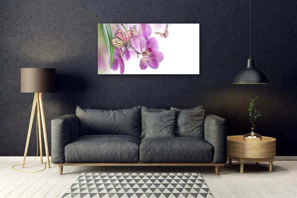 Skleneny obraz Motýle kvety príroda 125x50 cm