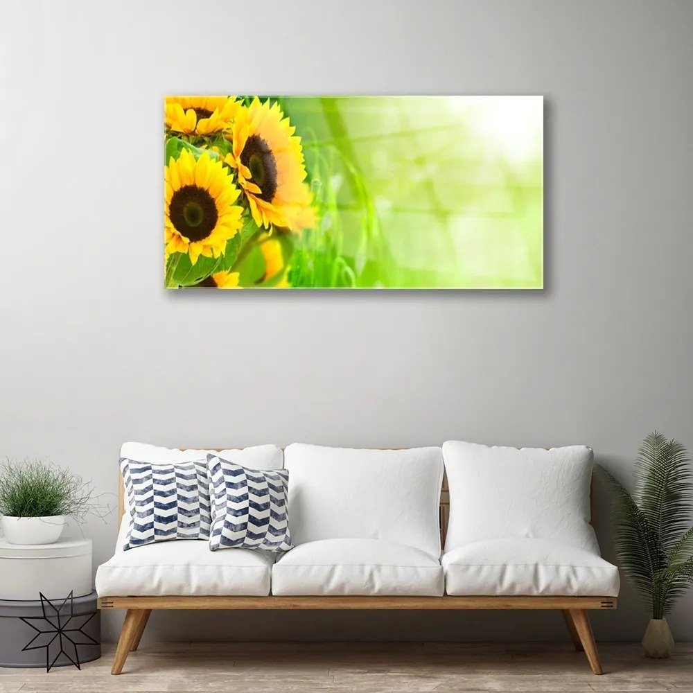 Obraz na skle Slnečnicami rastlina 125x50 cm