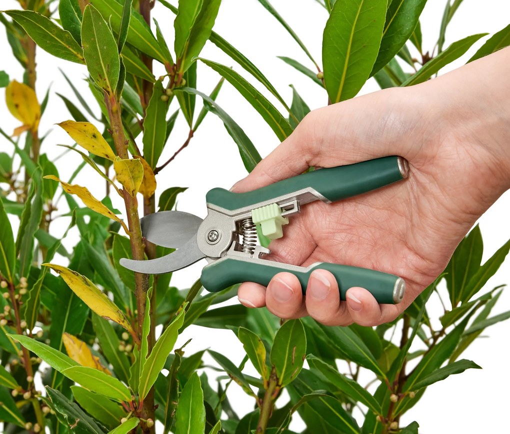 Záhradnícke mininožnice, 2 ks