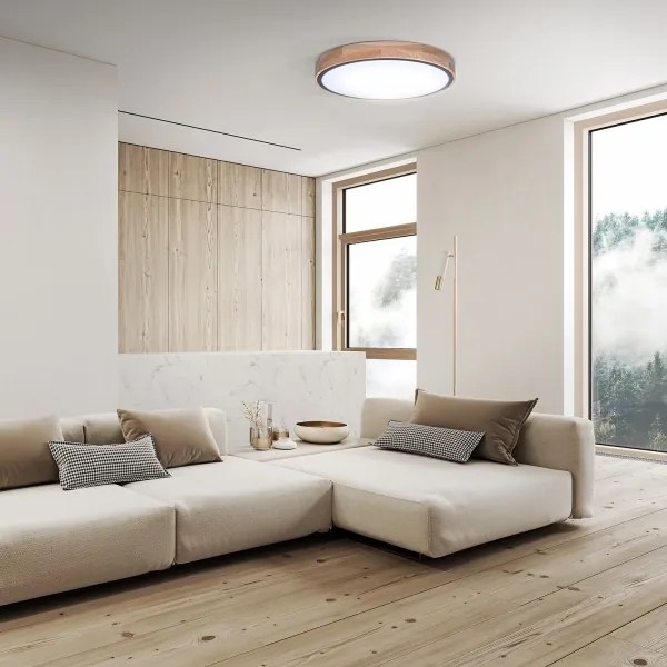 Solight WO8005 - LED stmievateľné svietidlo IRON OAK LED/48W/230V 3000-6500K priemer 40 cm + diaľkové ovládanie