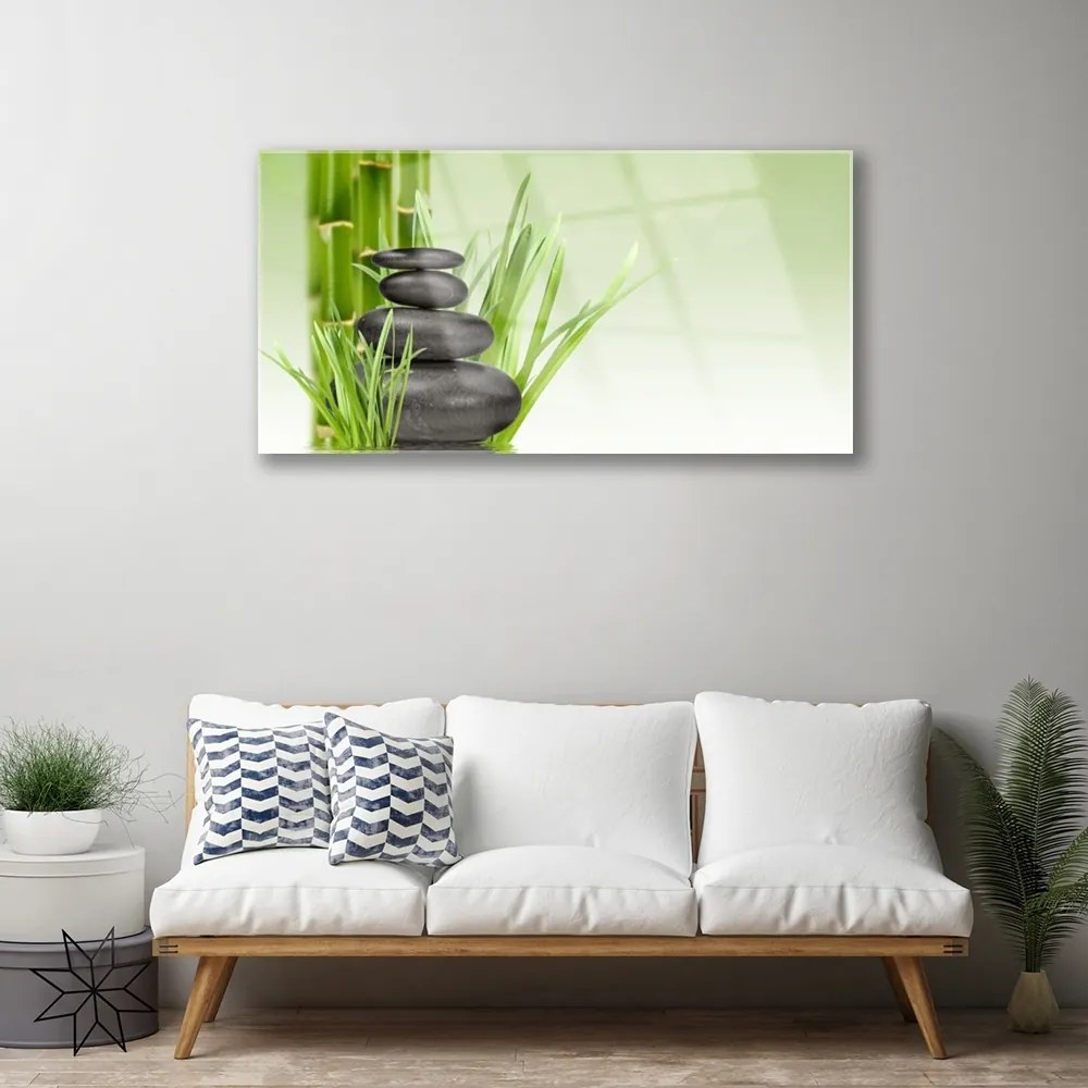 Skleneny obraz Bambus tráva rastlina príroda 120x60 cm
