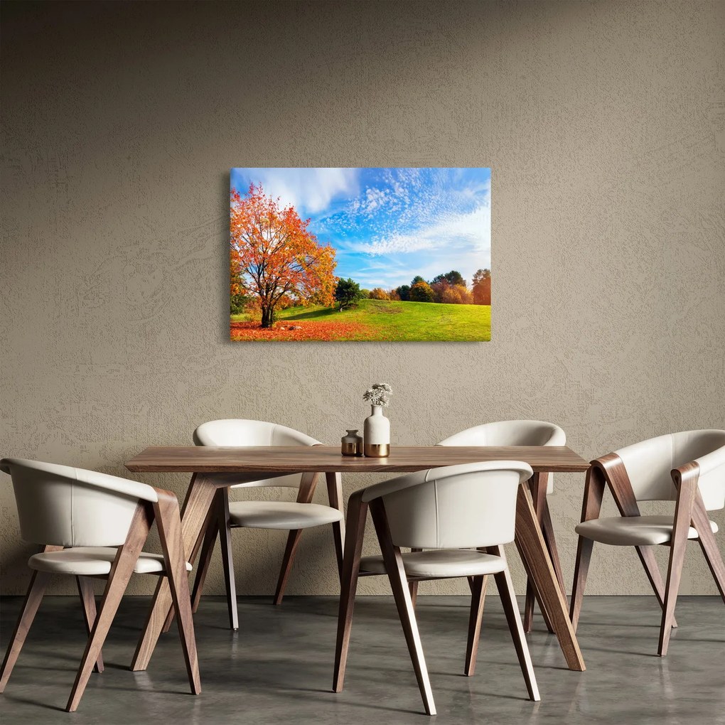 Obraz - Jesenná krajina (90x60 cm)
