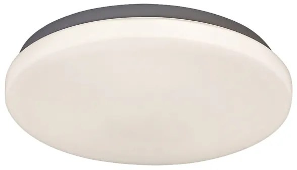 Rabalux 2284 - LED stropné svietidlo ROB LED/20W/230V okrúhle