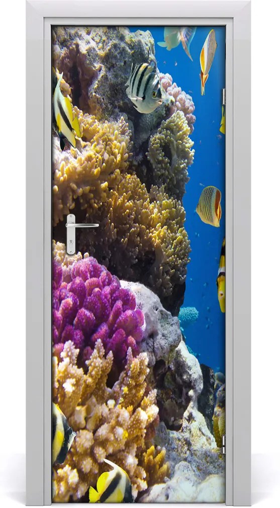 Samolepící fototapeta na dveře Korálový útes