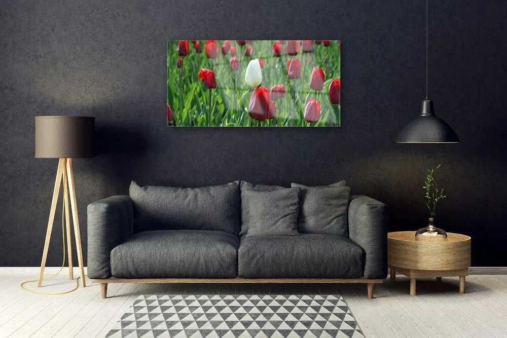 Skleneny obraz Tulipány kvety príroda 125x50 cm