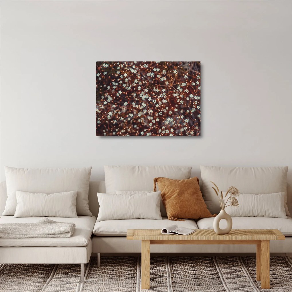 Sklenený obraz kvetu Nezábudky lesnej (70x50 cm)