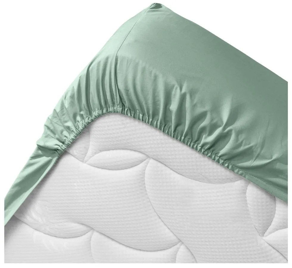Svetlozelená napínacia plachta z Bio bavlny 140x190 cm Biolina – douceur d'intérieur