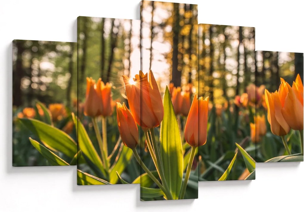 Obraz - kvety tulipánov (150x105 cm)