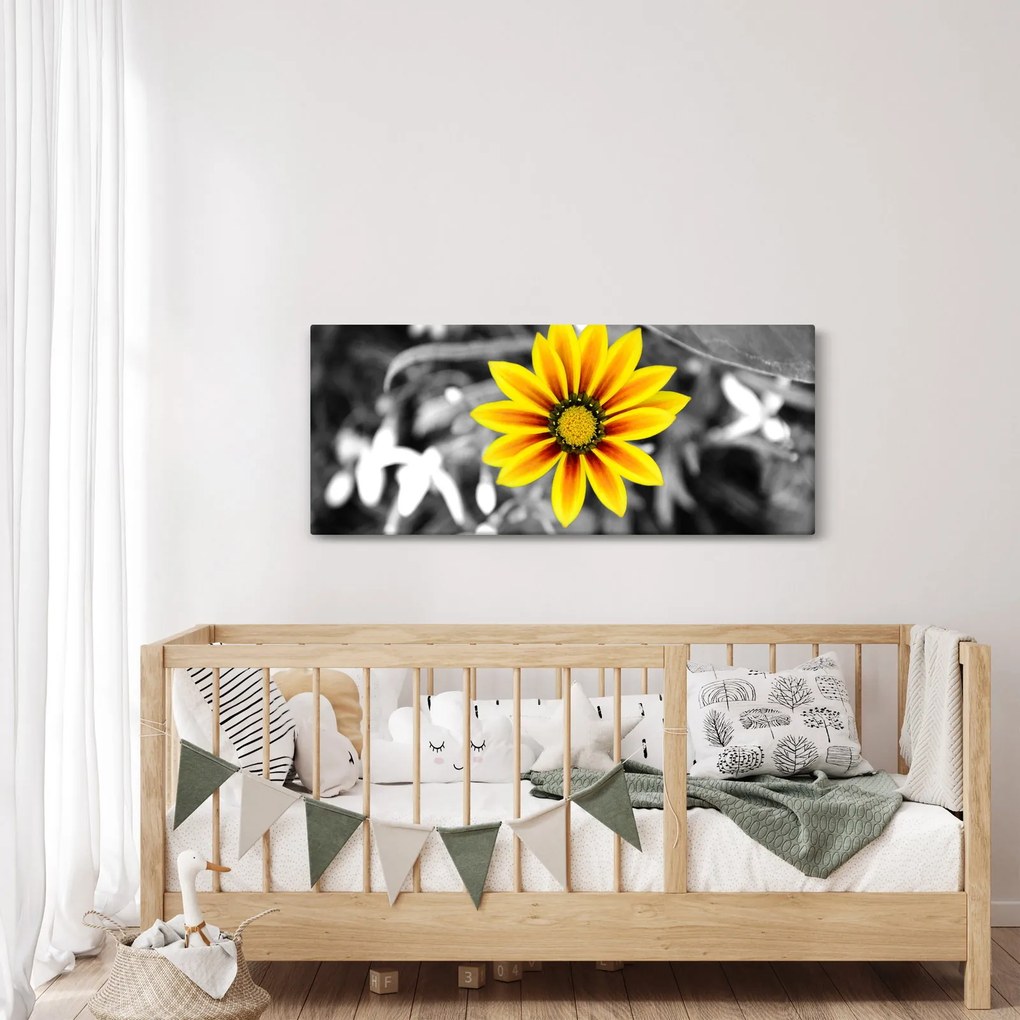 Obraz žltej kvetiny (120x50 cm)
