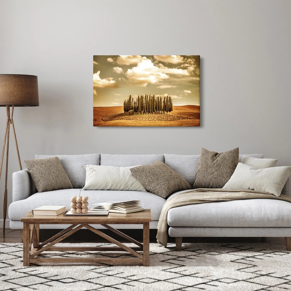 Obraz čistinky (90x60 cm)