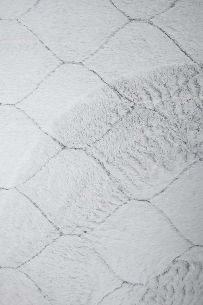 Koberec Rabbit 3D Carving GREY/WHITE 1 rozmery koberec: 80x140 cm