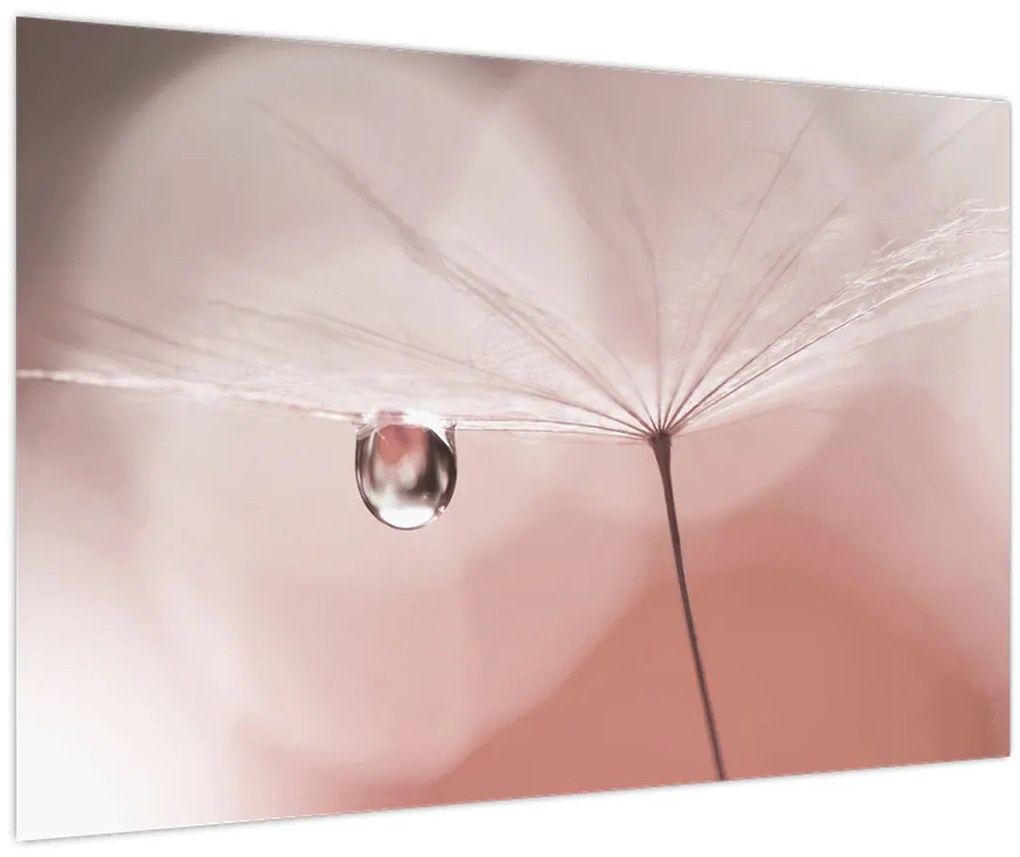 Obraz - Kvapka rosy (90x60 cm)