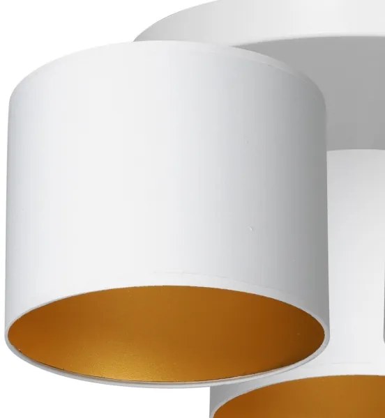 Luster prisadený ARDEN 3xE27/60W/230V biela/zlatá