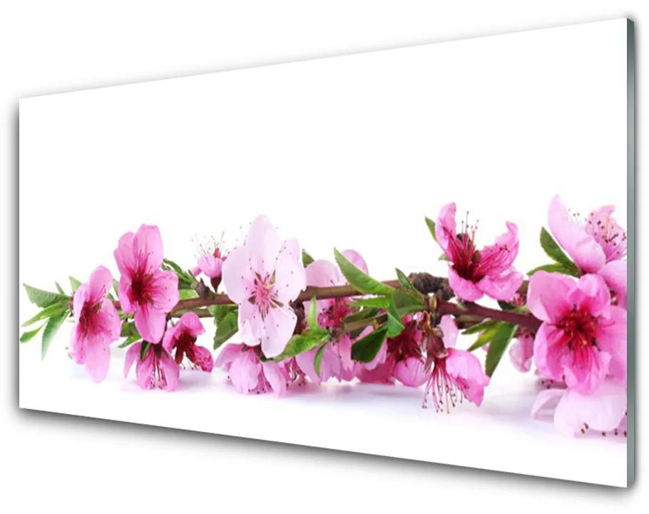Skleneny obraz Kvety rastlina príroda 100x50cm