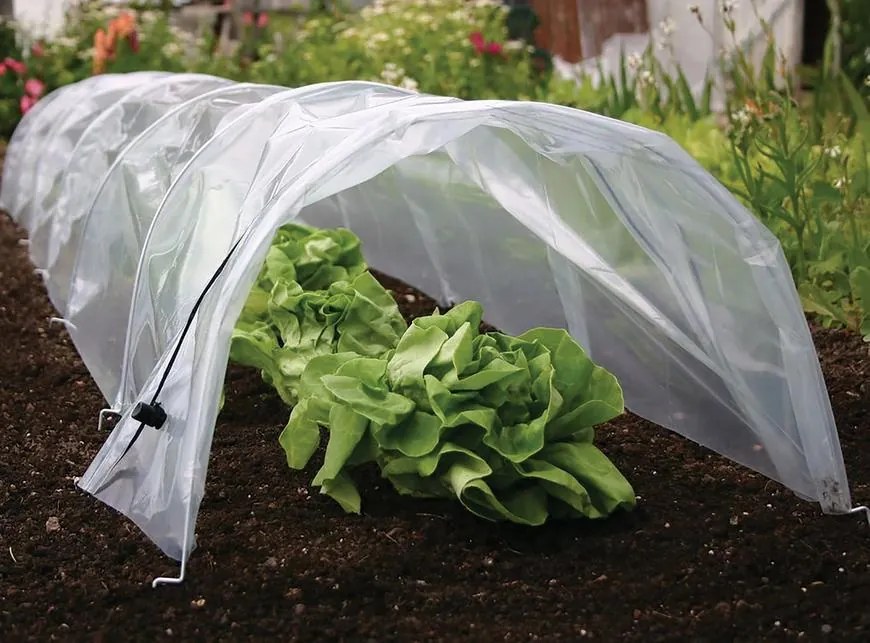Parenisko Strend Pro Greenhouse, mini fóliovník, 55 x 300 x 40 cm (55 x)