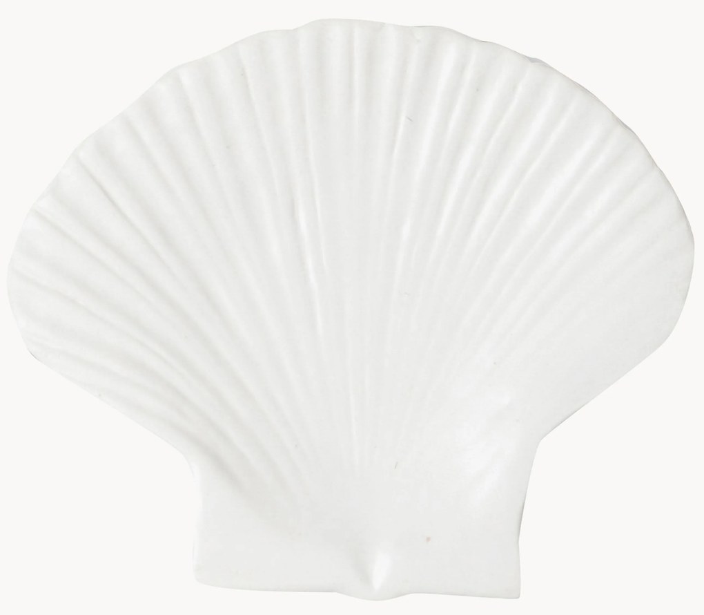 Dezertný tanier z dolomitu Shell