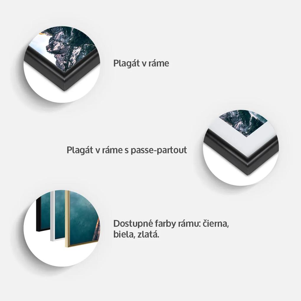 Artgeist Plagát - Meerkats Family [Poster] Veľkosť: 90x60, Verzia: Čierny rám s passe-partout