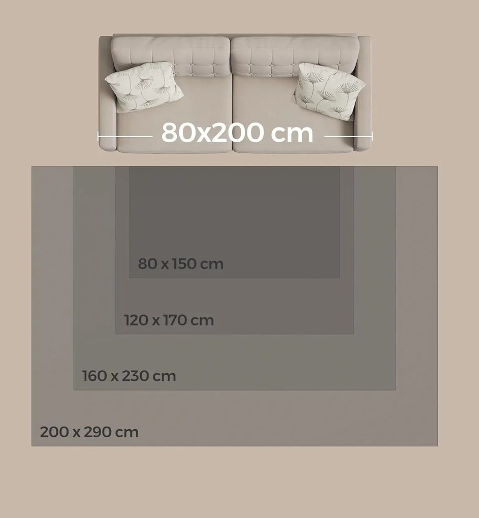Koberec Darvin 80x150 cm šedý