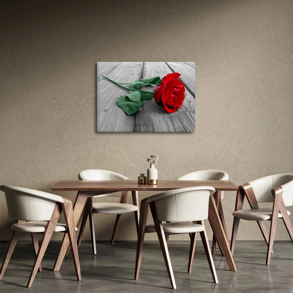 Obraz - Červená ruža so zelenou stonkou (70x50 cm)